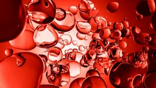 Early Statin Start After Diabetes Diagnosis Linked to Lower Dementia Risk, Danish Registry Study Finds