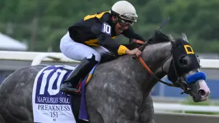 Preakness Excluded From Inaugural Thoroughbred Championship Series