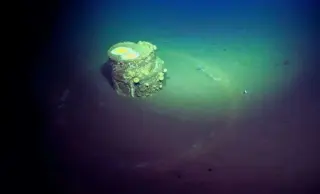 White Halos on Sunken Barrels Reveal Decades of Alkaline Pollution on LA Seafloor
