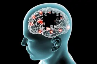 Alzheimer’s May Begin with Adaptability Decline, Not Memory Loss