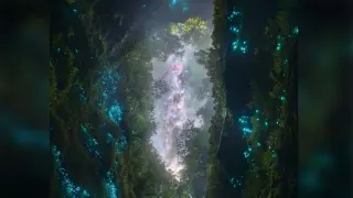 New Zealand photographer scales 100m into glow-worm cave to shoot award-winning night-sky panorama