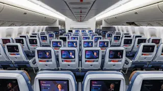 Premium Seats Account for Half the Revenue as American Bets Big on Cabins