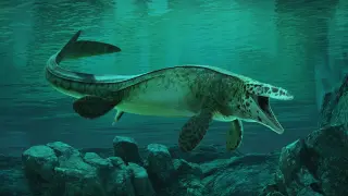 New Sea Tyrant: Meet Tylosaurus rex, a 43-foot Mosasaur
