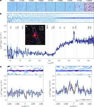 Gas-drenched black hole at cosmic dawn hints at rapid early growth