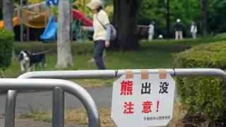 Bear Sightings Prompt Large-Scale School Closures in Japan