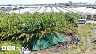 Jeju bodies deepen Korea missing-persons scandal as police reform looms