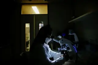 Old drug rewires immune cells to improve type 1 diabetes control