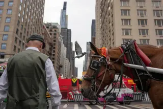 NYC Council poised to ban Central Park carriages, leaving 150 drivers without a clear path forward