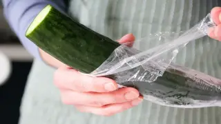 A Week of Plastic-Free Eating Slashes Urinary Plastic Chemicals (Up to 60%)