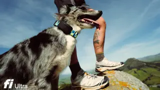 Fi Ultra Tracker Extends Dog Tracking to Starlink Satellite Coverage