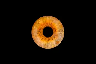 Kodiak Sciences Stock Doubles as Zenkuda Matches Eylea in Phase 3 Trial