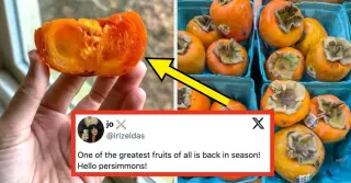 BuzzFeed Compiles 20 Wholesome Social Media Posts to Brighten the Week