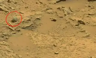 Mars Life Claims Spark Debate as Curiosity Images Are Analyzed for Insects and Reptiles