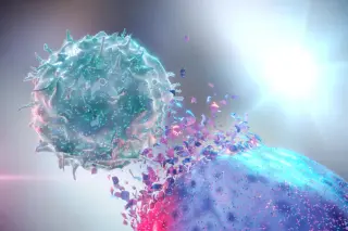 Yeast-Derived Supplement Reprograms Immune System to Fight Cancer in Obese Mice