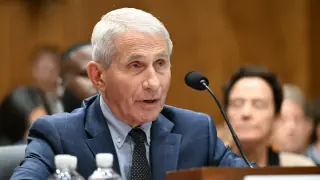 Fauci’s Private Vaccine Messages Spark Renewed Right-Wing Misinfo on Miscarriages