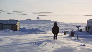 Promising Arctic ice thickening test faces scale hurdles