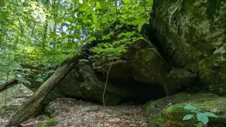Waterfalls and Quiet Hills: Canyon Forest Nature Preserve Between Indy and Evansville
