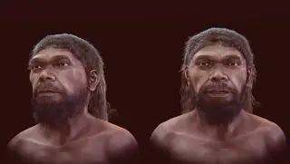 Digital Reconstruction Reveals Face of 315,000-Year-Old Homo sapiens Fossil