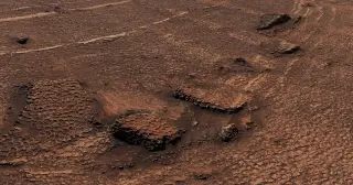 Curiosity Maps a Sea of Polygonal Rocks on Mars