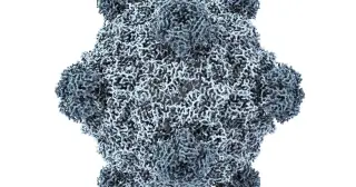 AI Writes Viral Recipes: New Viruses Engineered by Machines