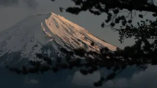 Dad abandons 7-year-old on Mount Fuji to finish climb, police reprimand