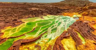 Gaet’ale Pond: life persists in Earth’s hottest, saltiest pool