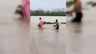 Snake-Infested Floods Hit Hengzhou After Typhoon Maysak
