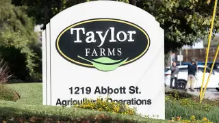 FDA probes Mexican lettuce plant amid Cyclospora outbreak