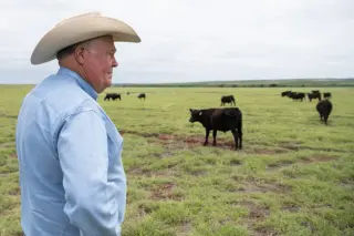 Texas beef profits squeezed as screwworm returns and costs soar