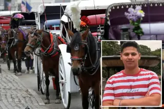 Romanch’s Law: NYC Moves Toward Phased Ban on Horse-Drawn Carriages