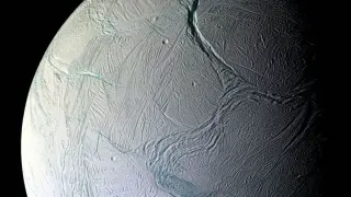 Lab tests show Earth microbes can thrive in simulated Enceladus ocean