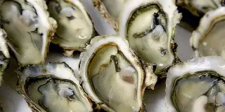 SC Reports Vibrio Infections in Coastal Waters, Officials Warn About Risks