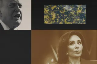 Pirro’s Trump alliance under pressure after Reflecting Pool decision