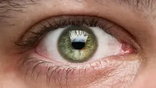 Why Green Eyes Are So Rare: An Evolutionary Perspective