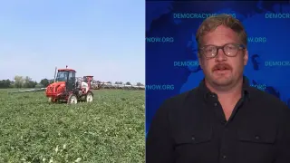 Supreme Court Narrows Roundup Cancer Claims, Shifting Warnings to EPA