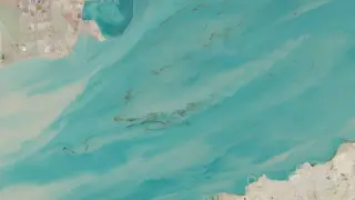 Satellite images reveal widescale oil spills in Persian Gulf amid Iran conflict