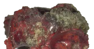 Trinity Test Unleashed a Brand-New Material: Calcium–Copper–Silicon Clathrate