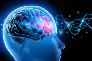 Engineered Neural Bridges Could Rewire Damaged Brain Circuits