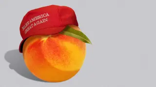 Trump’s Midterm Strategy: Body Checks, Bigotry, and Economic Denial