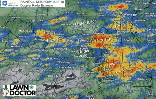 Storms Douse Smoke as Maryland Faces Wind-Damage Toll