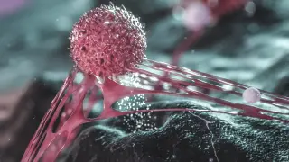 Sweet Signal: Fructose Secreted by Chemo-Treated Cells May Drive Ovarian Cancer Spread