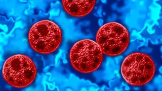 Hamilton County Sees New Cyclospora Cases as Outbreak Expands