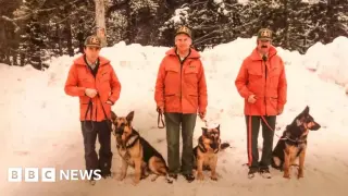 Parks Canada Ends 55-Year Avalanche Dog Program in Banff Amid Budget Cuts