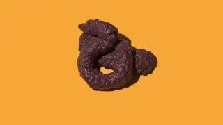 Lugworms Unveil Universal Poop Coiling Rules