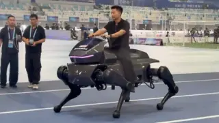 Beijing expo unveils rideable robot horse capable of 660 pounds
