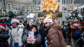 West Edmeston Spruce Chosen for 2026 Rockefeller Center Holiday Display