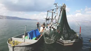 Fishing Nets as Makeshift Shield: IDF Fights Hezbollah FPV Drones