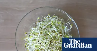 Alfalfa Sprouts Outbreak Across 15 States Tied to Multiple Germs
