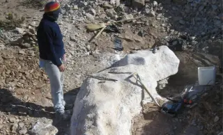 Patagonia Discovery: 20-Meter Sauropod Upends South American Dinosaur Lineages