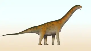 East Asia’s First Turiasaur Sauropod: A New Middle Jurassic Link from China